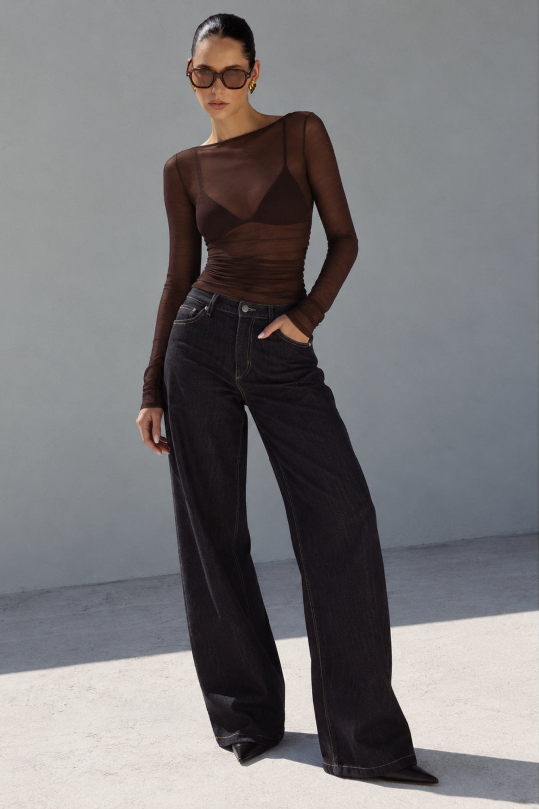Boat Neck Brown Transparent Blouse