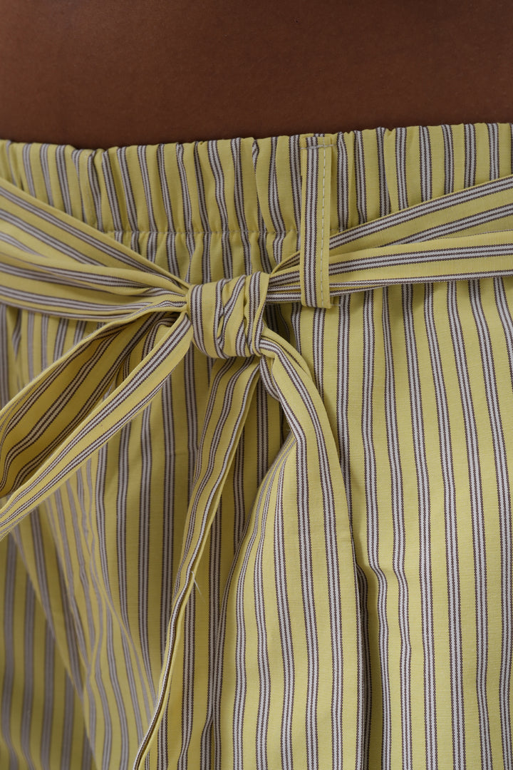Kuşak Detay Çizgili Sarı Pantolon