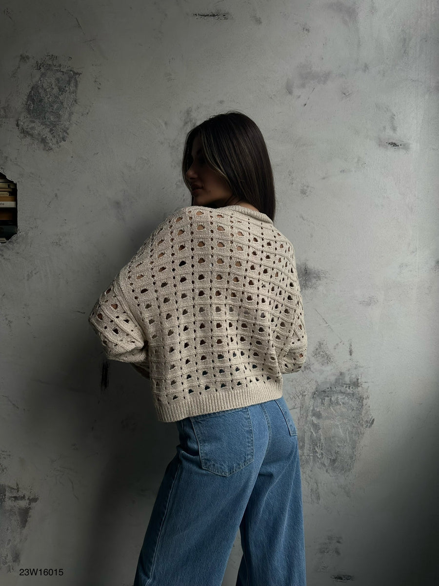 Openwork Crew Neck Beige Sweater 