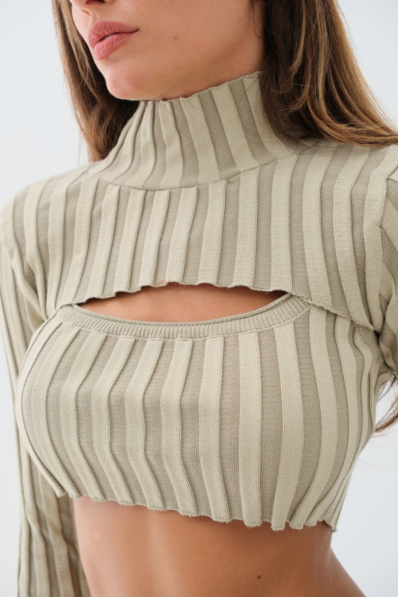 Turtleneck Beige Sweater Crop 