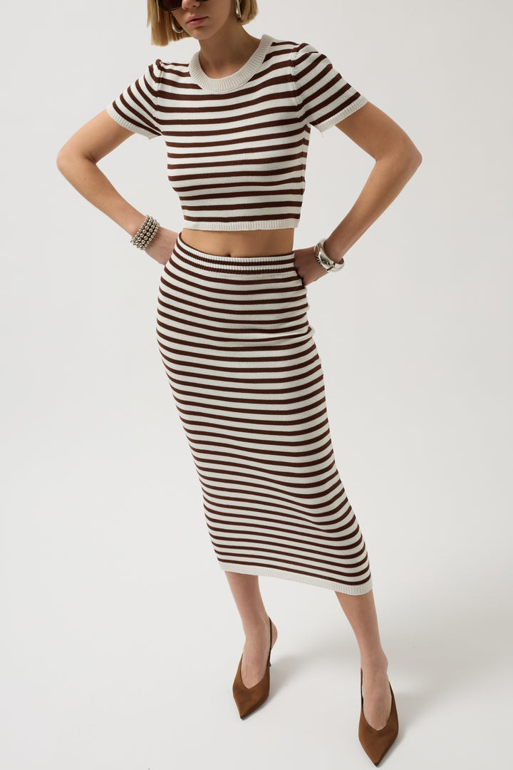 Striped Crew Neck White Brown Crop 