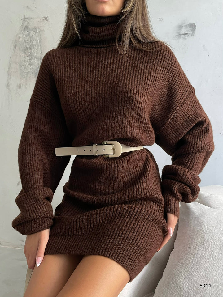 Oversize Turtleneck Brown Knit Tunic