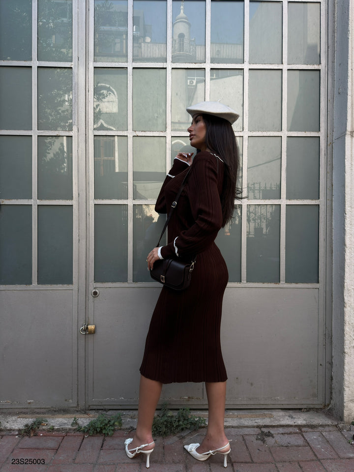 Polo Collar Buttoned Brown Dress