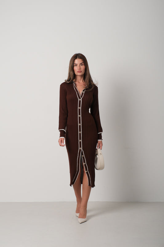 Polo Collar Buttoned Brown Dress 