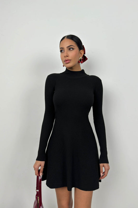 Long Sleeve A-Line Black Dress 